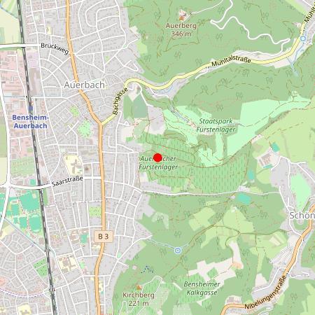 Kfz Gutachter Bensheim