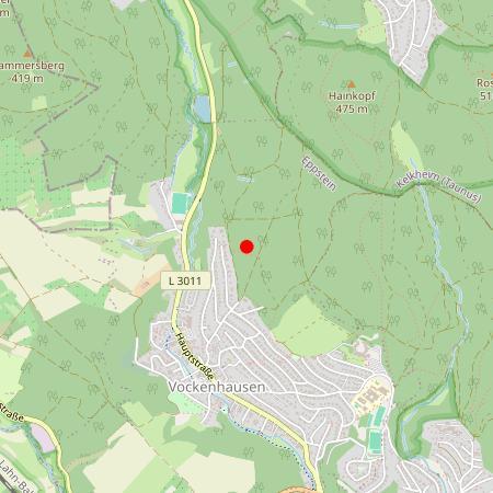 Kfz Gutachter Eppstein