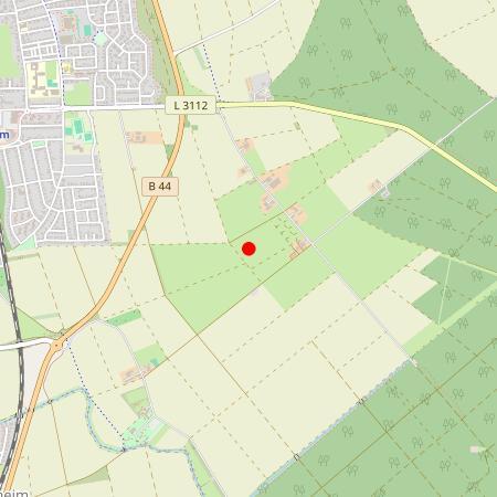 Kfz Gutachter Gernsheim