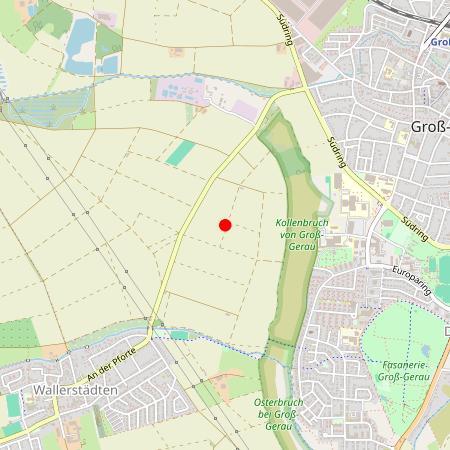 Kfz Gutachter Gross-Gerau