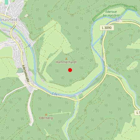 Kfz Gutachter Hatzfeld