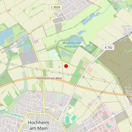 Kfz Gutachter Hochheim