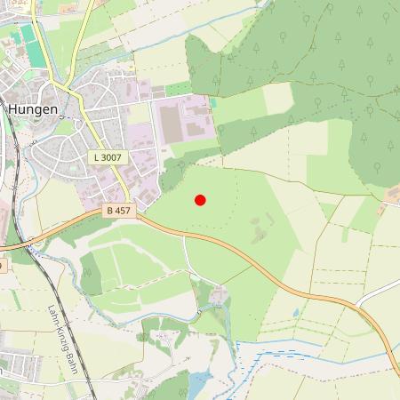 Kfz Gutachter Hungen