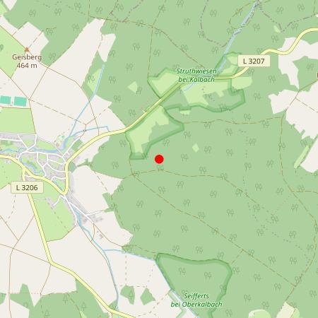 Kfz Gutachter Kalbach