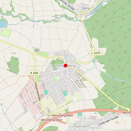 Kfz Gutachter Merenberg