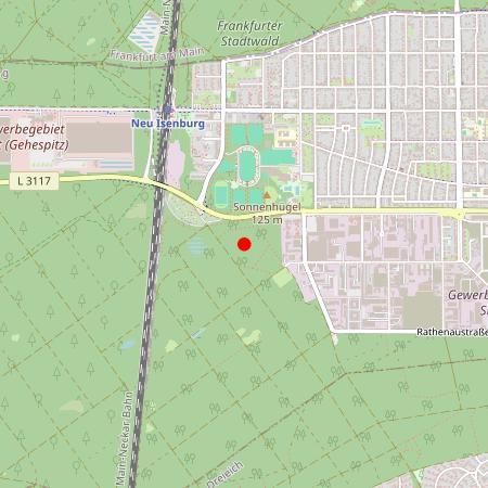 Kfz Gutachter Neu-Isenburg