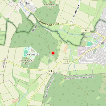 Kfz Gutachter Nieste