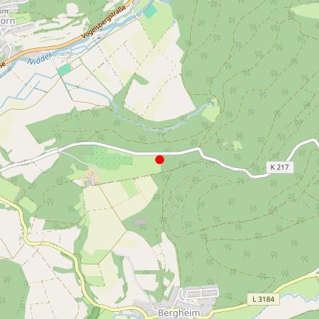 Kfz Gutachter Ortenberg