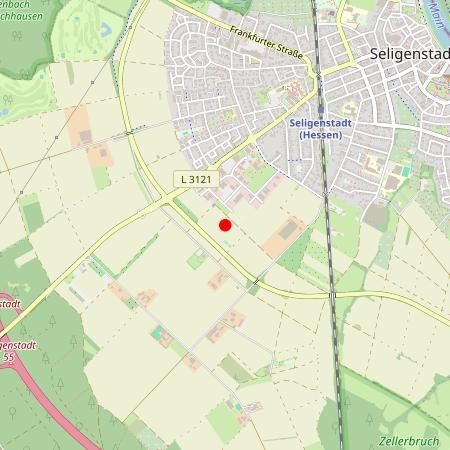 Kfz Gutachter Seligenstadt