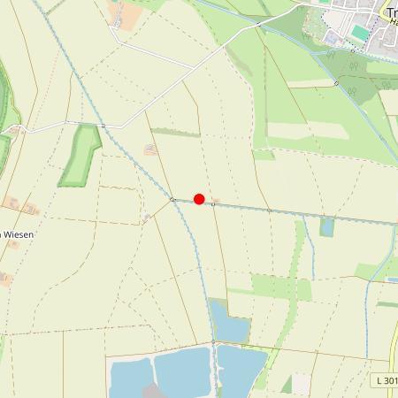 Kfz Gutachter Trebur